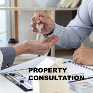 consultation